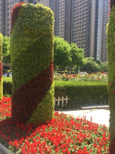 珠林园旅行图片 2
