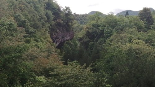 中国百里杜鹃风景名胜区-千年一吻