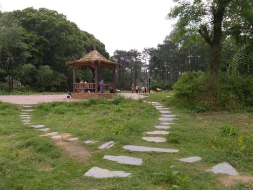 泰和牧歌滩尾景区旅行图片 1