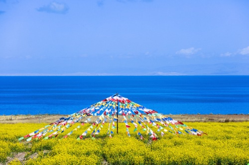 青海湖 景点照片