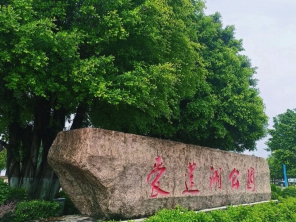 爱莲湖公园景点图片