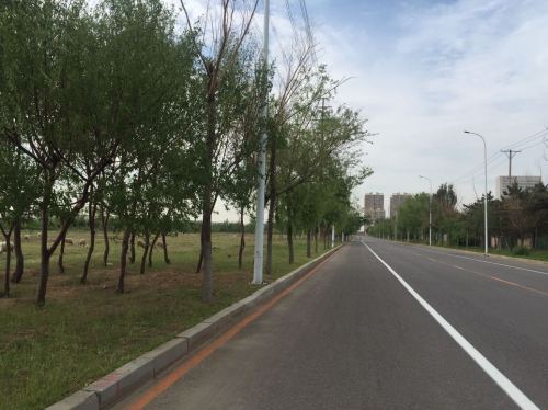 远大湿地公园旅行图片 1