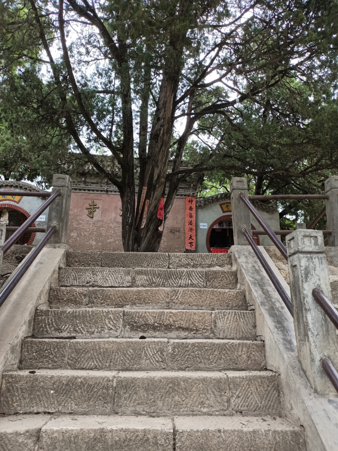 川口村翠柏寺实景照片