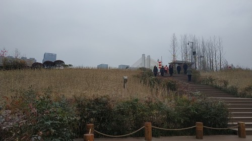 上中坝生态景区旅行图片 1