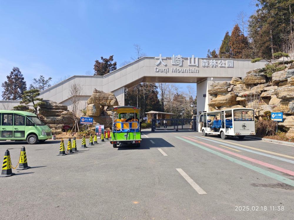 大崎山森林公园景点图片