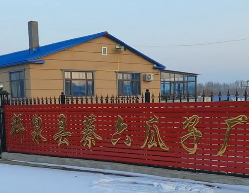 拜泉县蔡六瓜子厂