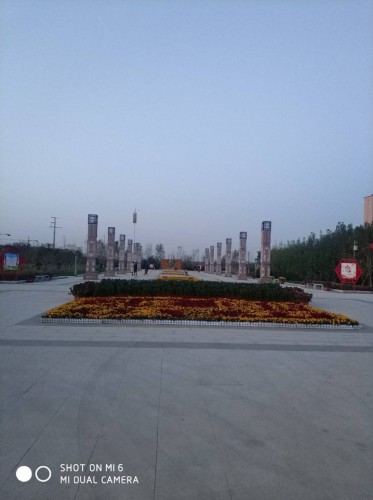 澄波公园旅行图片 1