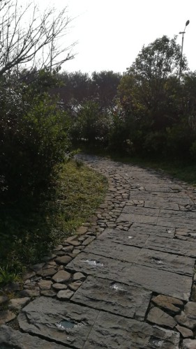 塘河生态公园旅行图片 1