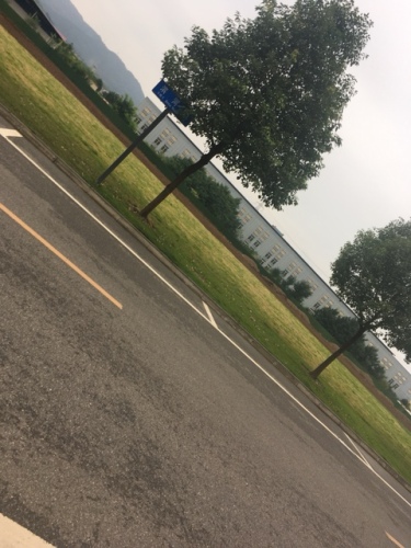 河滨公园旅行图片 1