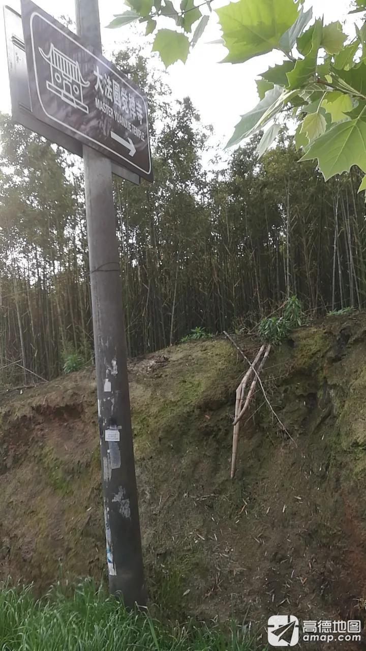 大法圆觉禅寺实景照片
