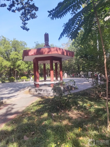十区中心公园