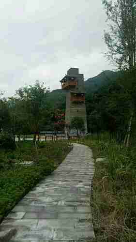 禅茶清谷旅行图片 1