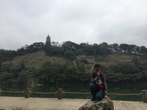 榉子洲公园旅行图片 1