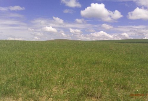 金界壕遗址旅行图片 3