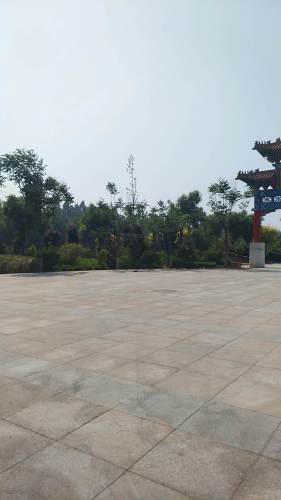莲花公园旅行图片 3
