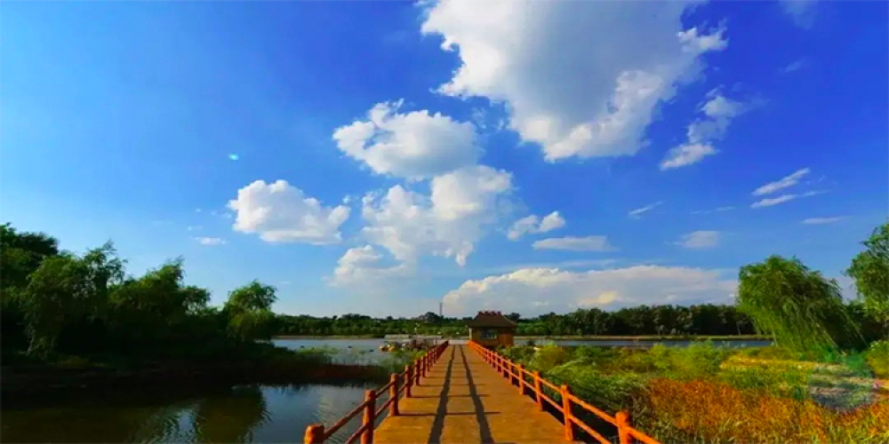 山西孝河湿地公园景点图片