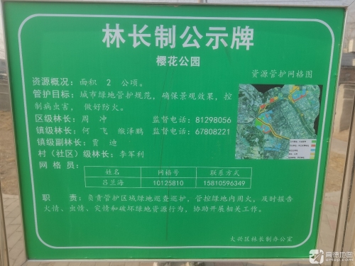 樱花公园