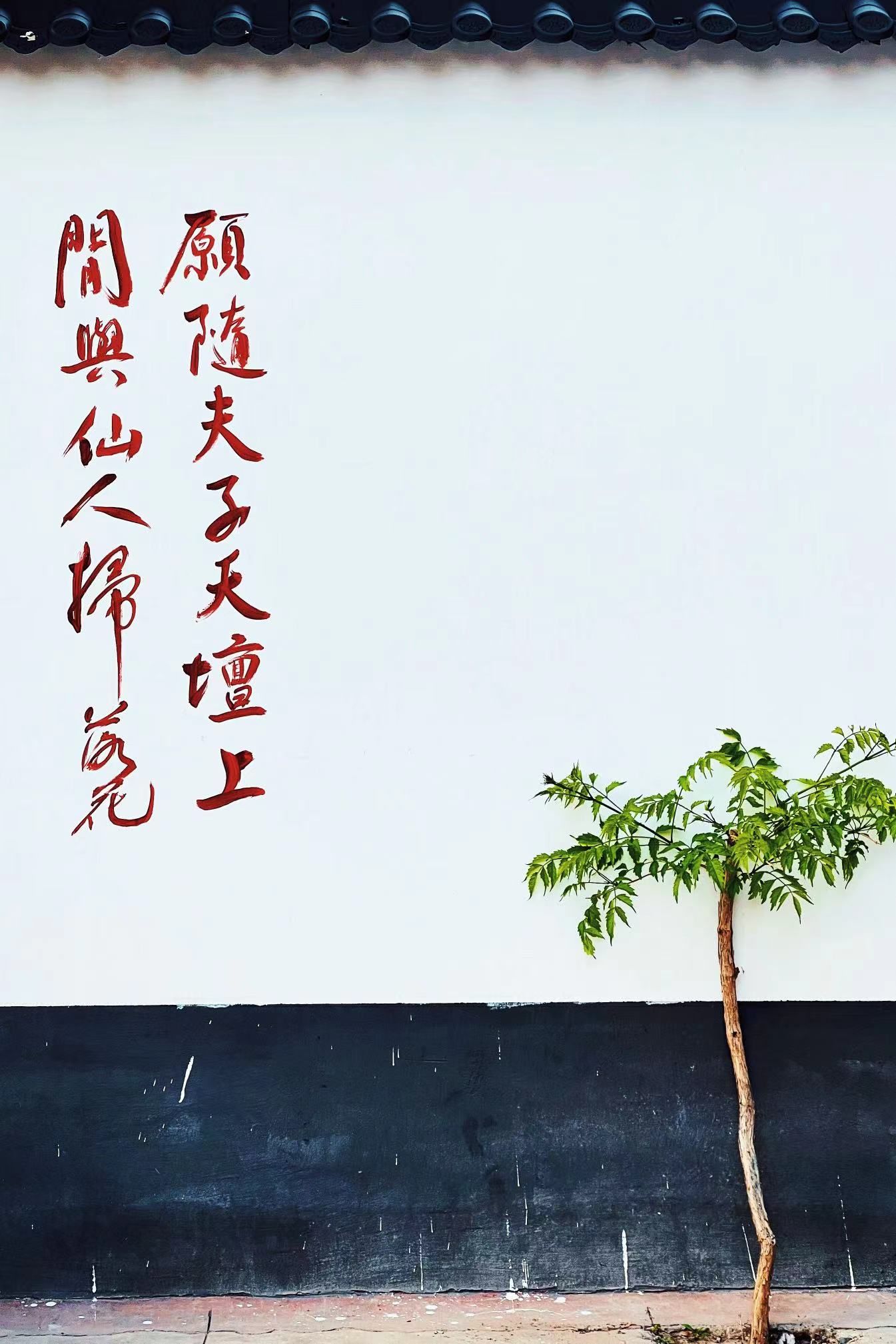 天成观实景照片