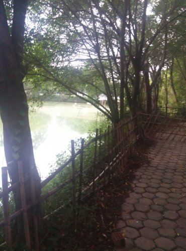 乡村大世界旅行图片 3