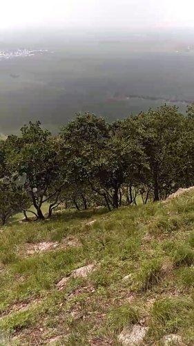 驿马山森林公园旅行图片 2