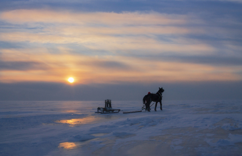 前郭查干湖 景点照片