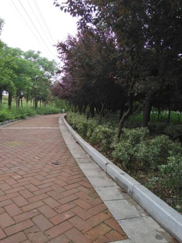 许慎文化公园旅行图片 3