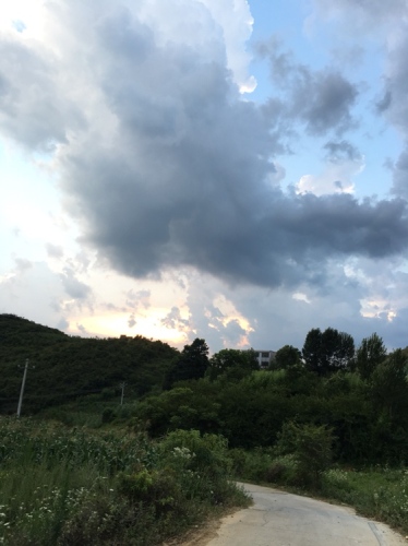 十里竹堤旅行图片 3