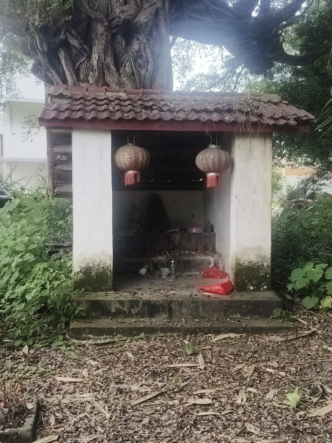 周前村庙实景照片