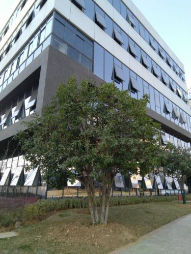 南京东大校友经济科创园实景图（3）