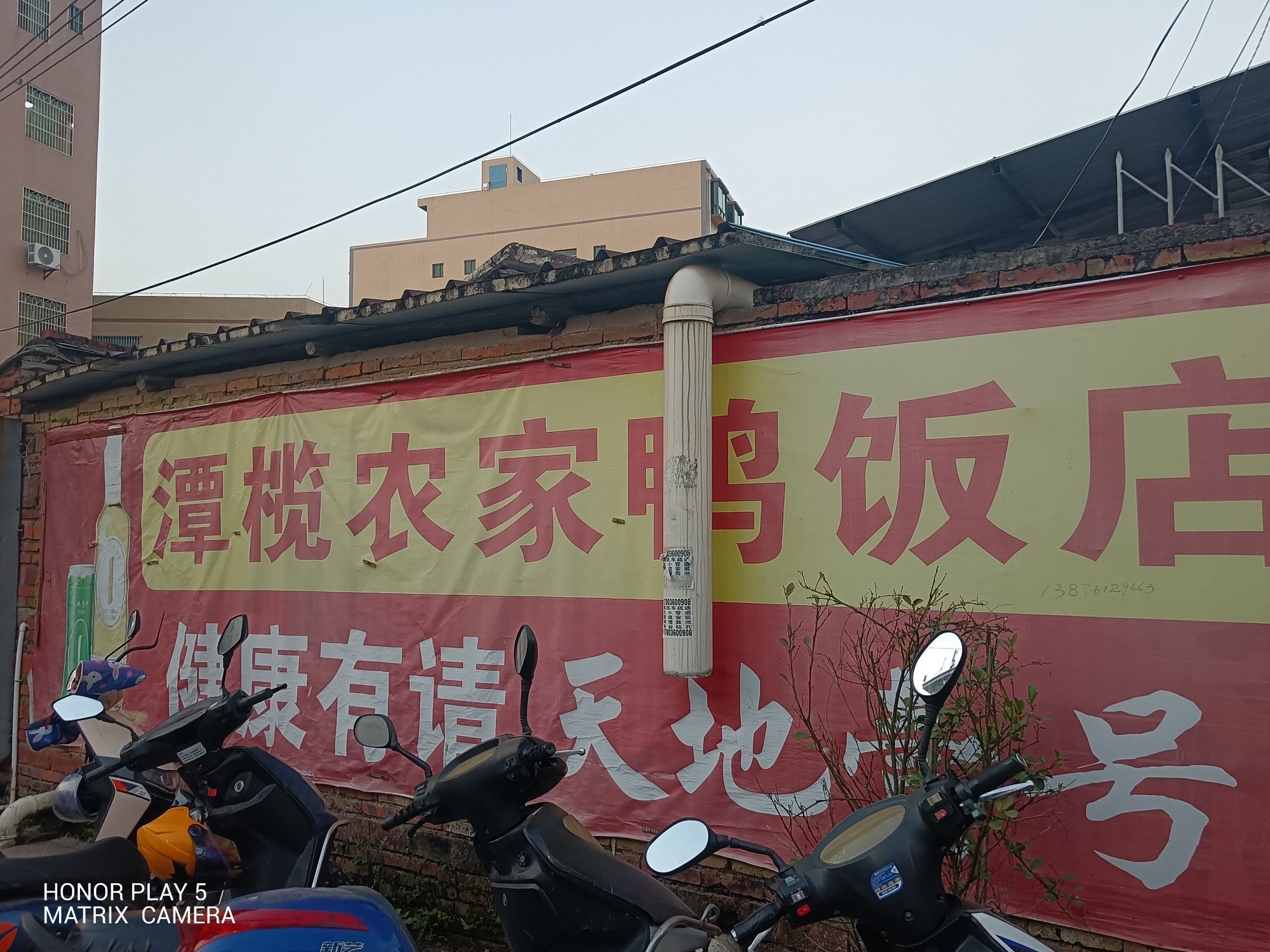 潭榄农家鸭饭店