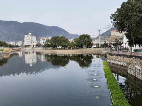 大乌石村滨水樱花园旅行图片 2