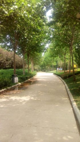 莱芜植物园旅行图片 3