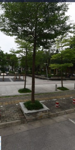 国锋小广场旅行图片 1