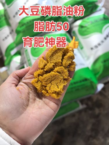 辽宁（营口）沿海产业基地实景图