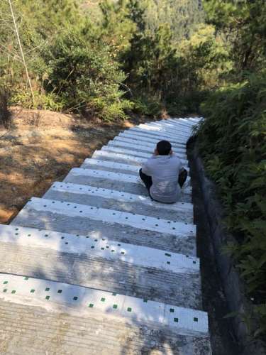 潘田森林公园旅行图片 2