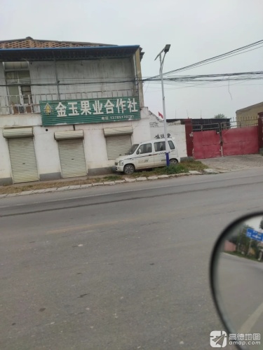 金玉果业合作社