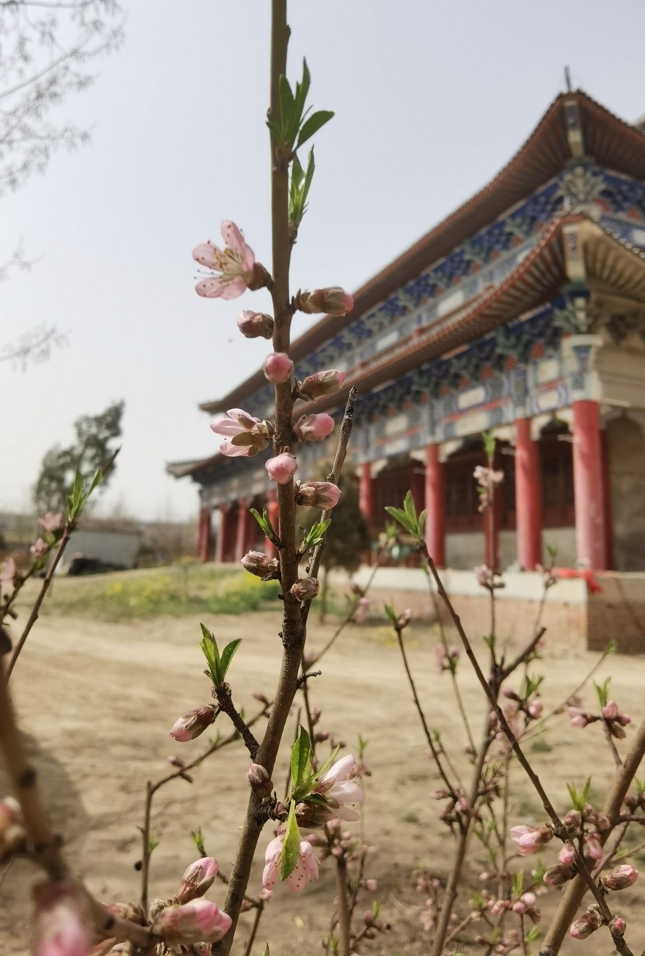兴国寺实景照片