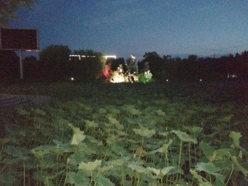 楚甸公园旅行图片 3