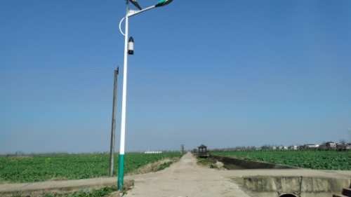 鸟儿洲国家湿地公园旅行图片 2