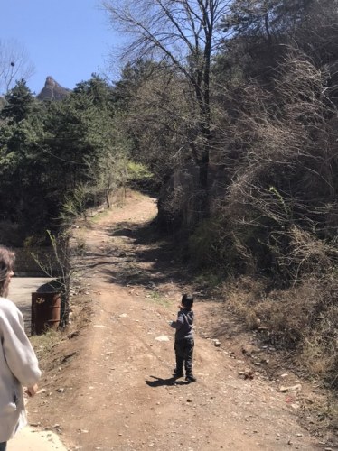 九峰山森林公园旅行图片 3