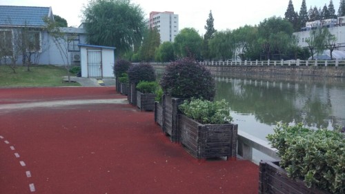绿色项链旅行图片 1