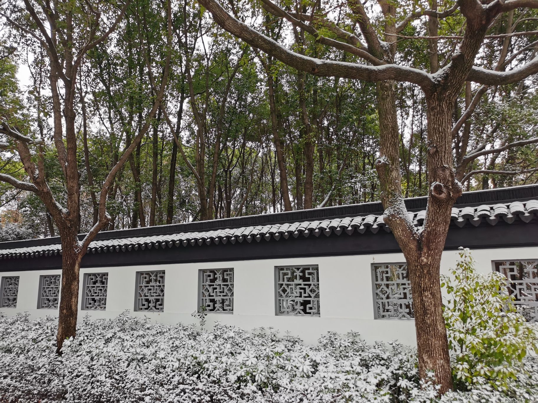 古樟寺实景照片