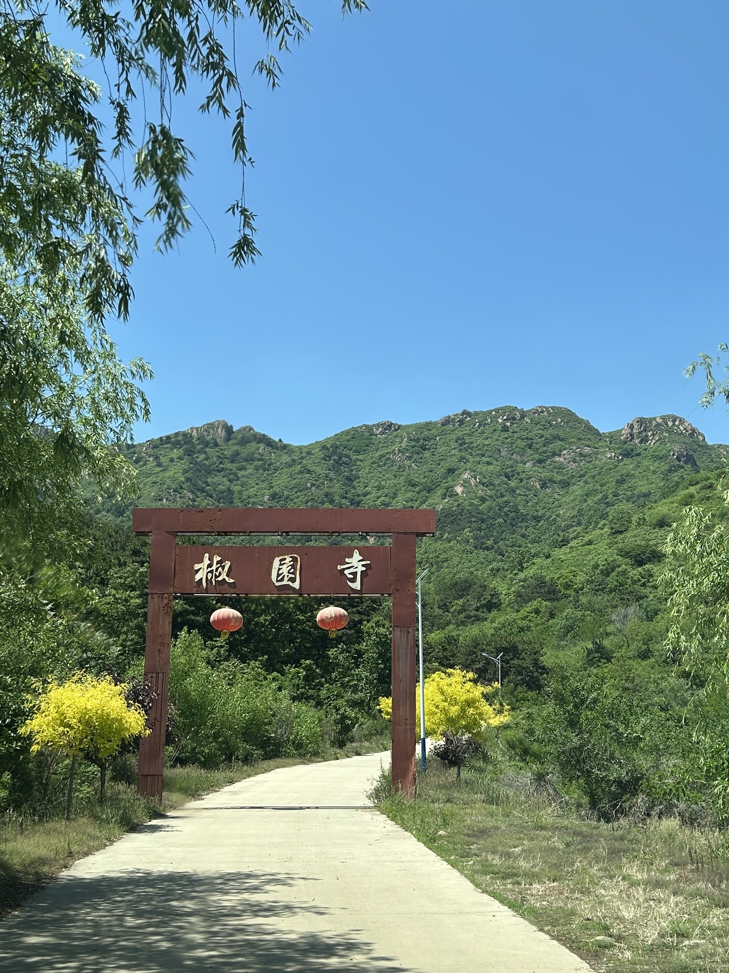 椒园寺实景照片