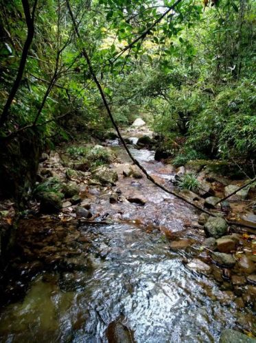 杨东山十二渡水生态旅游区旅行图片 2