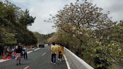 水凤凰生态旅游风景区旅行图片 3