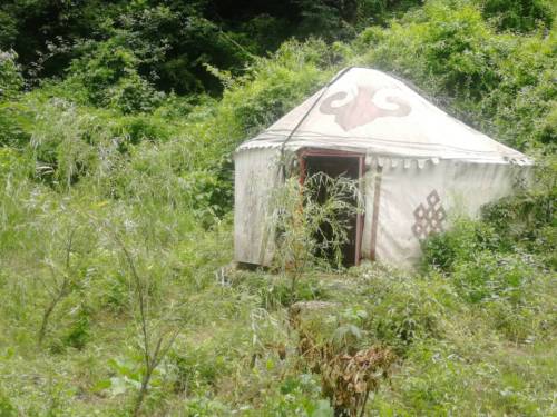 栾川天宇红豆杉景区旅行图片 3