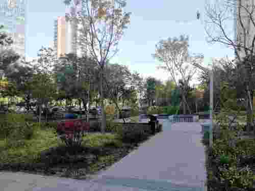 太平桥公园旅行图片 1