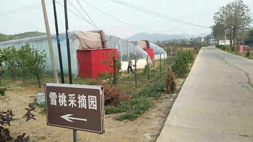 土门大棚蔬菜采摘园