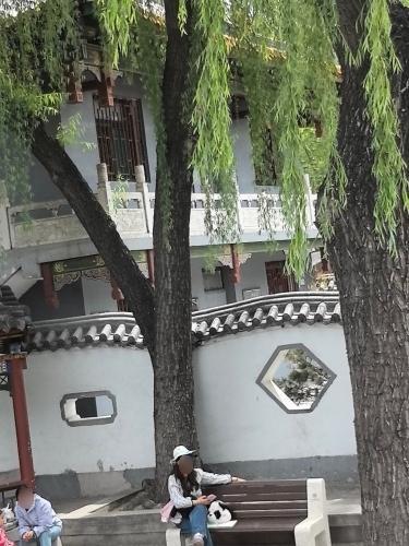 碑林公园-义苍阁