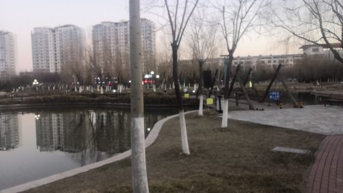 芦湖公园旅行图片 2